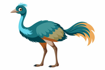 Naklejka premium emu--vector-illustration-white-background vector illustration 