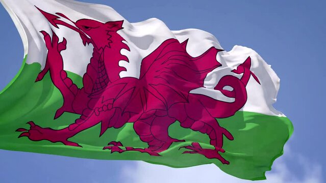Wales Waving FLAG FAST