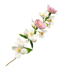 Abstract floral arrangement (collage). A branch with white jasmine and rosehip flowers. Element for...