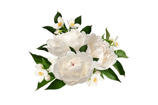 Floral arrangement of white peony and jasmine flowers isolated on a white background. Element for creating designs, cards, patterns, floral arrangements,  wedding cards and invitations.