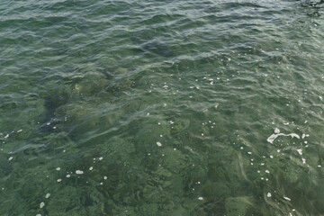 Closeup background photo of clear water in mediterranean sea - 778171996