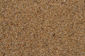 Texture of wet sand on a beach top view - 778173752