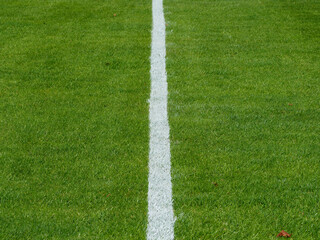 Green grass texture of a soccer field with line in the middle, copy and text space