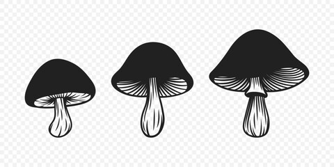 Vector Black and White Hand-Drawn Cartoon Mushrooms. Mushroom Illustration, Mushrooms Collection, Hand-Drawn Mushroom Design Template