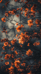 Vibrant Orange Blooms at Twilight: Close-Up of Nature's Elegance