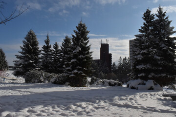 The pleasant landscape of the white snow winter park with green trees at the Shiroishi park in Sapporo Japan