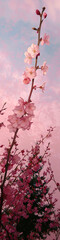 Obraz na płótnie Canvas A cherry blossom branch against a pink sky, evoking a serene and ethereal atmosphere.