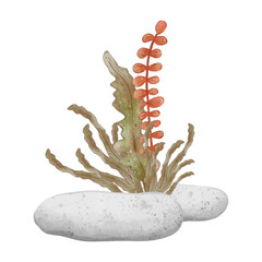 Aquarium composition pebble with seaweed bush. Watercolor hand drawn illustration, isolated on white background for icon or logo. Print for cards or textile design. Coral reef and underwater life