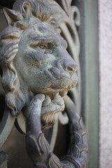Fototapeta na wymiar Interesting building detail of a lion holding a door knocker.