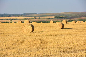 a field of hay with a large amount of bales in it