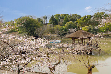 奈良,桜超しの浮見堂