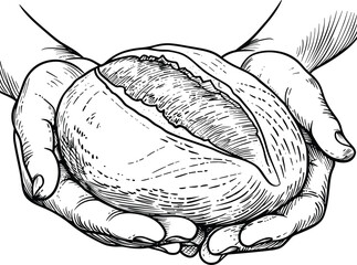 Fresh Baked Bread In The Hands Of A Baker , Coloring Pages Vector