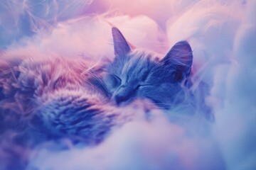 Cloud like cats cuddling in a soft pastel world their fur blending into the dreamy surroundings