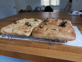 Focaccia bread in the kitchen cooling down 