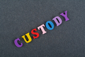 CUSTODY word on black board background composed from colorful abc alphabet block wooden letters,...