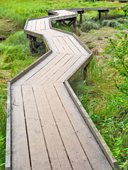 Wooden flooring pathway over the swampy terrain