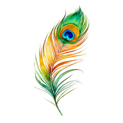 Peacock feather, Hindu Lord Krishna's peacock feather, watercolor painting, isolated, decorative element, bird