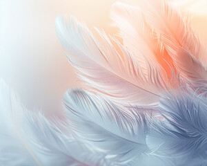 Fototapeta na wymiar White abstract feathers on soft background, text space