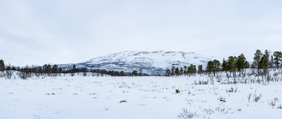 Wide panoramic view of winter landscape in Abisko National Park, Abisko, Sweden