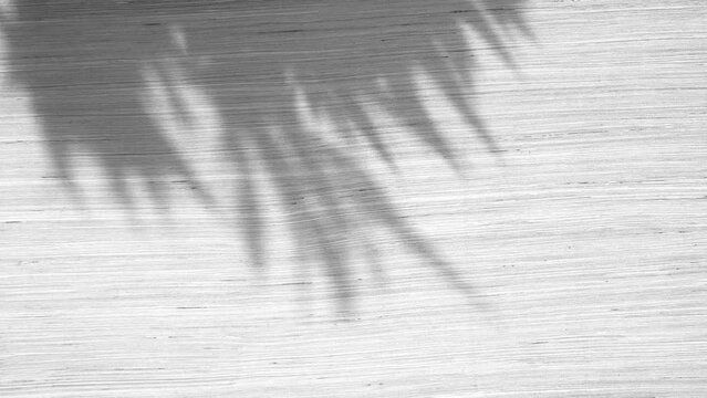 Shadow of bamboo leaves moving gently in wind on painted wood background, backdrop