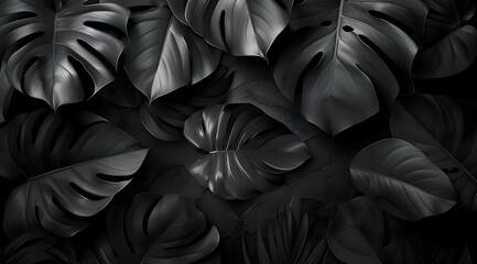 Abstract Black Tropical Plant Leaves Background. Nature wallpaper.