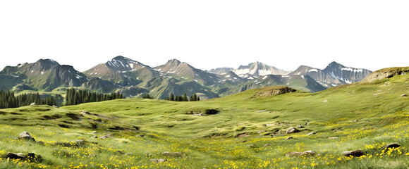 Serene alpine meadow with sprawling green grass and majestic snow-capped mountains in the distance, cut out - obrazy, fototapety, plakaty