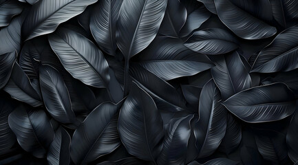 Obraz premium Abstract black background with huge beautiful leaves. Plant dark background. High-resolution