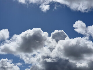 Obraz premium Cumulus clouds in the sky. Fluffy cloud shapes