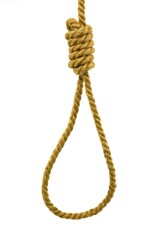 Gallows noose on white Background
