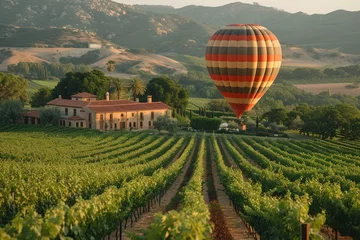 Fotobehang A hot air balloon floating over a picturesque vineyard, grapevines below © create
