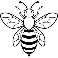 illustration of a bee