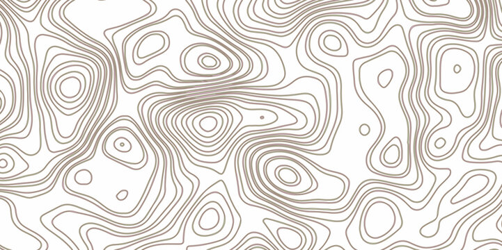 Abstract topographic background. Blank topographic contour map subtle. Vector background design. geographic design background.
