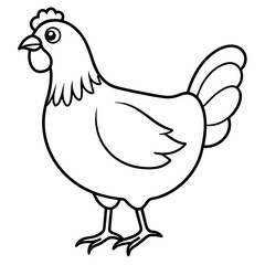 chicken