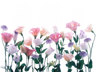 A bunch of Lisianthus and Laceflower