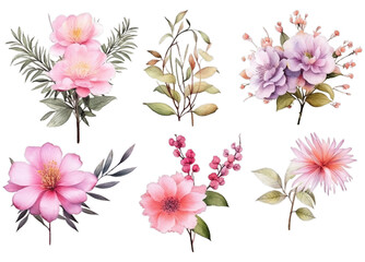 Illustration watercolor Floral in Garden, wildflower, colorful flowers, on transparent background with png file. Cut out background.