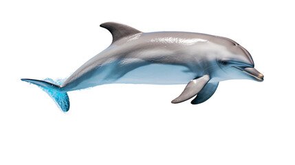 Dolphin jumping isolated on transparent background cutout