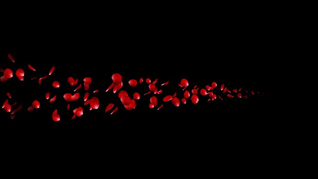 Red rose petals flow horizontally in line particles, with 4 types including straight lines and curves.
