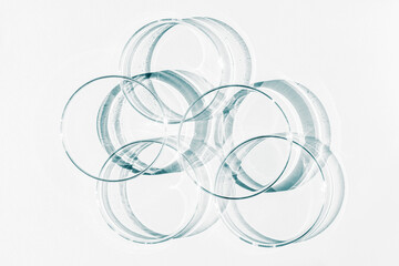 Petri dish. A set of Petri cups. On a white background. Laboratory half.