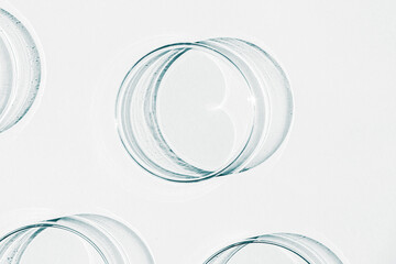 Petri dish. A set of Petri cups. On a white background. Laboratory half.