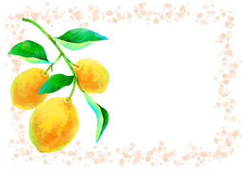 枝付きの瑞々しいレモンのイラストフレーム