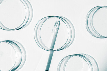 Petri dish. A set of Petri cups. A pipette, glass tube. On a white background.