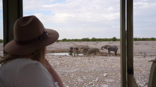 Woman watching elephants drinking at a waterhole from a vehicle while on safari in Etosha National Park, Namibia