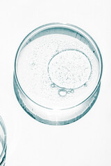 Petri dish. Petri's cup with liquid. Chemical elements, oil, cosmetics. Gel, water, molecules, viruses. Close-up. On a white background.