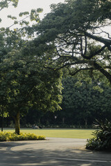 An open park in Singapore