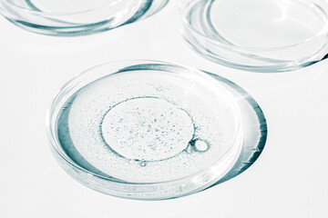 Petri dish. Petri's cup with liquid. Chemical elements, oil, cosmetics. Gel, water, molecules, viruses. Close-up. On a white background.