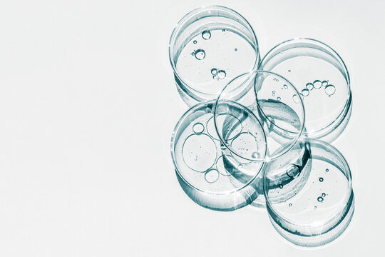 Petri dish. Petri cups with liquid. Kit. Chemical elements, oil, cosmetics. Gel, water, molecules, viruses. Close-up. On a white background.
