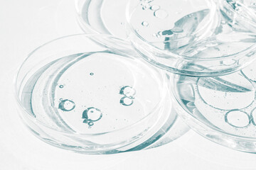 Petri dish. Petri cups with liquid. Kit. Chemical elements, oil, cosmetics. Gel, water, molecules, viruses. Close-up. On a white background.