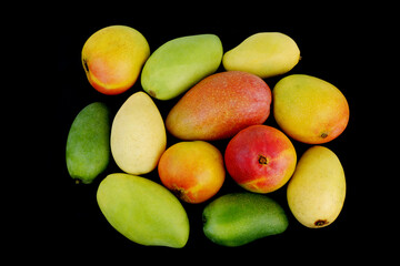 Many kinds of mangoes fruits isolated on black background.	
