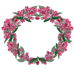 Round frame, wreath of branches of a blooming apple tree watercolor illustration on a white background. Hand drawn illustration for cards, perfumes, advertising, product labels, fabric printing.