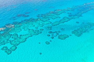 Fototapeta na wymiar Coral reef next to the tropical paradise island of Bermuda